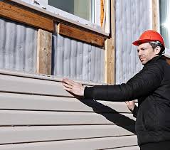 Best Custom Trim and Detailing for Siding  in Shafer, MN